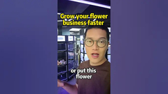 مرحباً أصحاب محلات الزهور لدينا حل لتعزيز أعمالكم بالزهور آلة بيع الزهور الطازجة